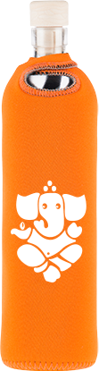 Ganesha Oranzna Web