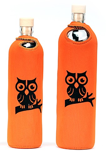 Glass Reusable Water Bottle Flaska Owl on the Branch