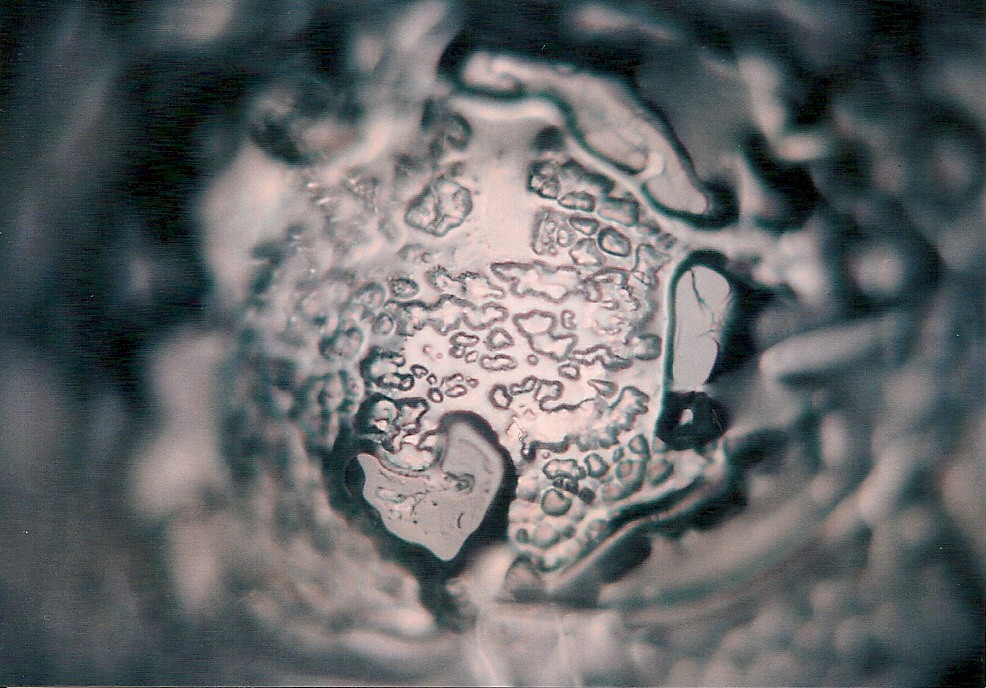 Masaru Emoto water crystal photo made with Tokio water 