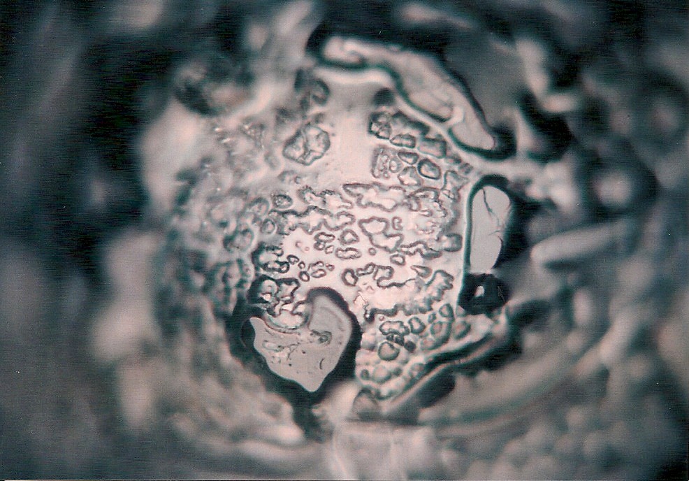 Tokyo tap water crystal photograph 