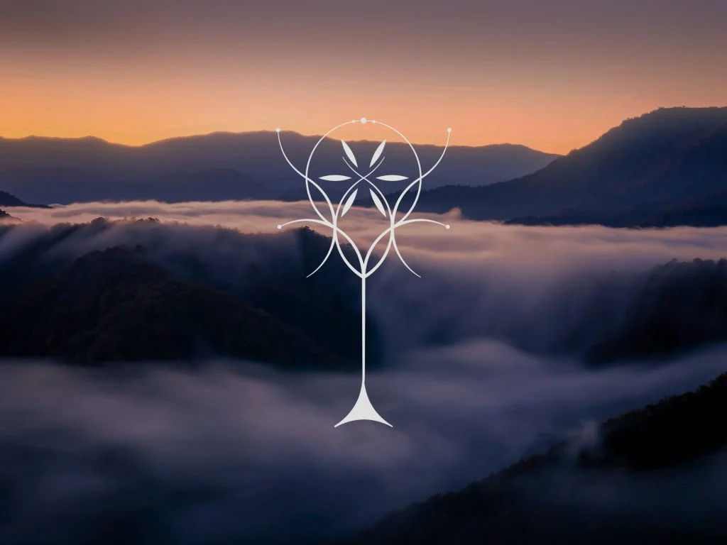 collezione energy flow