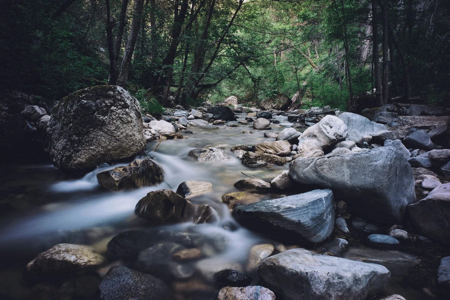 processo di strutturazione dell’acqua - acqua di sorgente